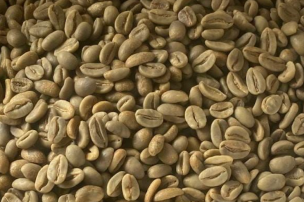 Aceh Gayo · Natural