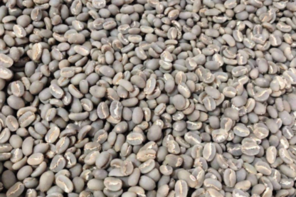 Aceh Gayo · Semi Wash